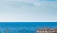 Celebrity Style Lux Apartment, private accommodation in city Dobre Vode, Montenegro